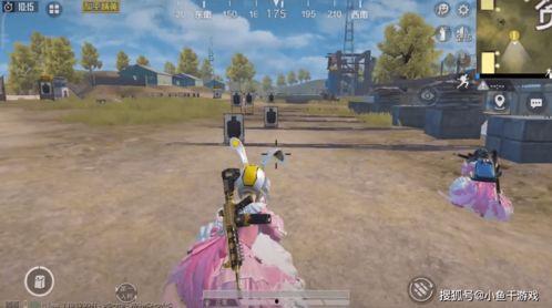 吃鸡新军需爆料最新实战,新军需亮相!吃鸡战场实战解析 第1张 吃鸡新军需爆料最新实战,新军需亮相!吃鸡战场实战解析 第1张