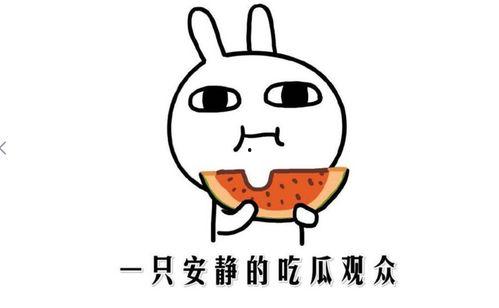 吃瓜娱乐配音制作方法,打造你的专属趣味声音  第1张